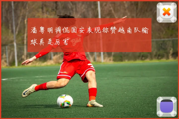 潘粤明调侃国安表现称赞越南队输球真是厉害