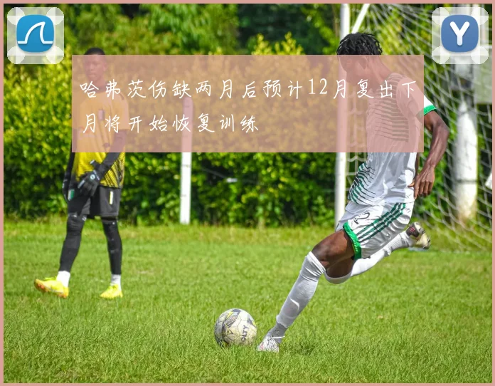 哈弗茨伤缺两月后预计12月复出下月将开始恢复训练