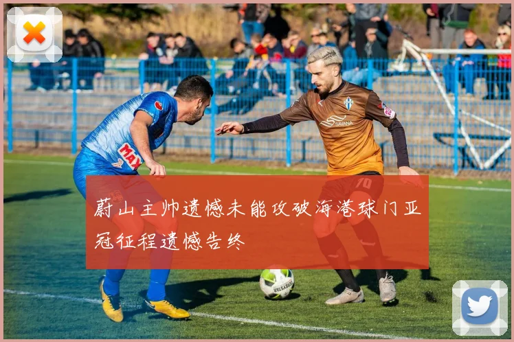 蔚山主帅遗憾未能攻破海港球门亚冠征程遗憾告终
