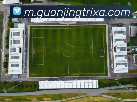 冠竞体育APP 封面图