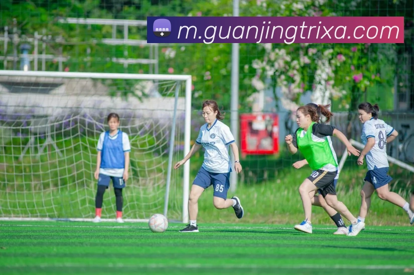 数据防护可视化